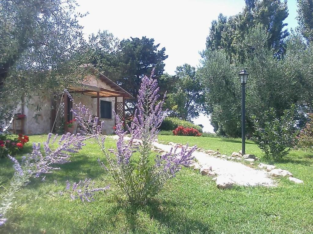 Casale Dinelli Villa Tarquinia Room photo