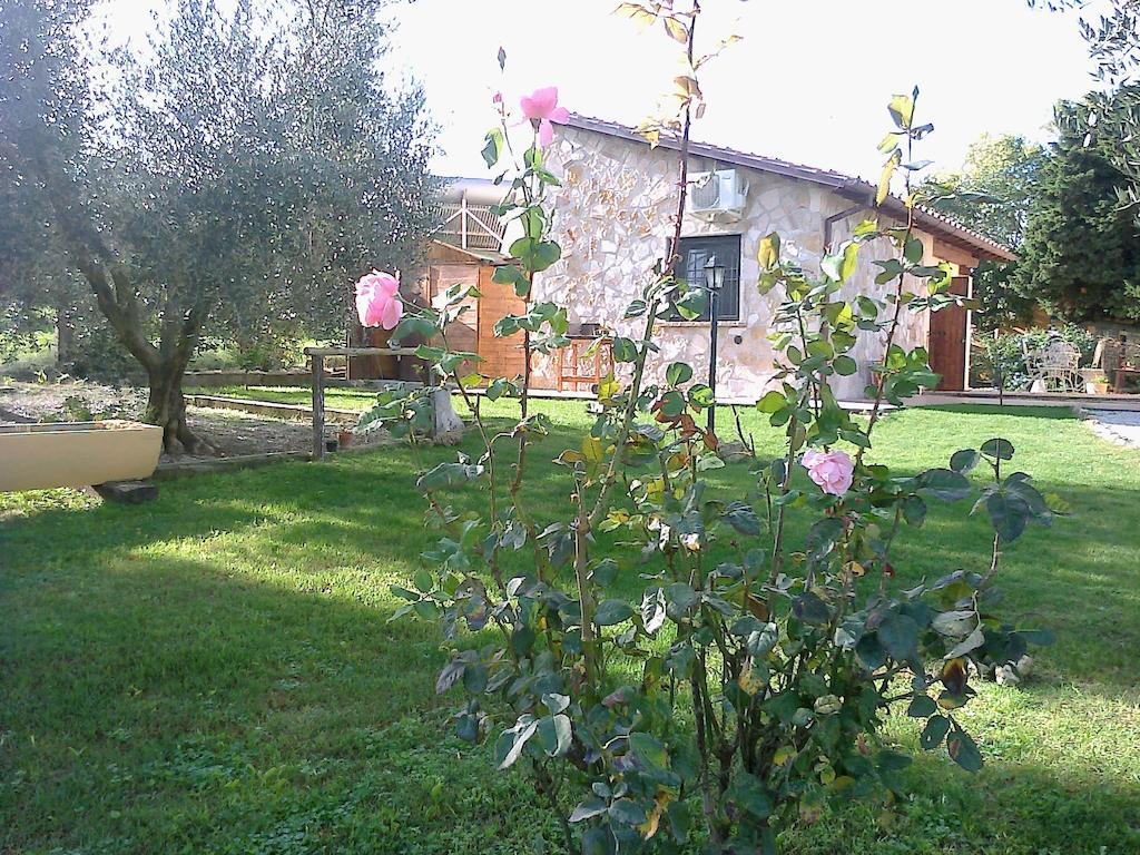 Casale Dinelli Villa Tarquinia Room photo
