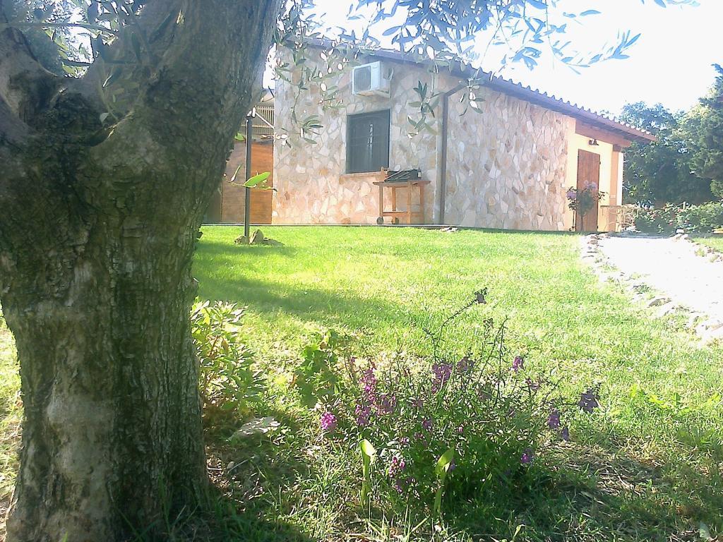 Casale Dinelli Villa Tarquinia Room photo