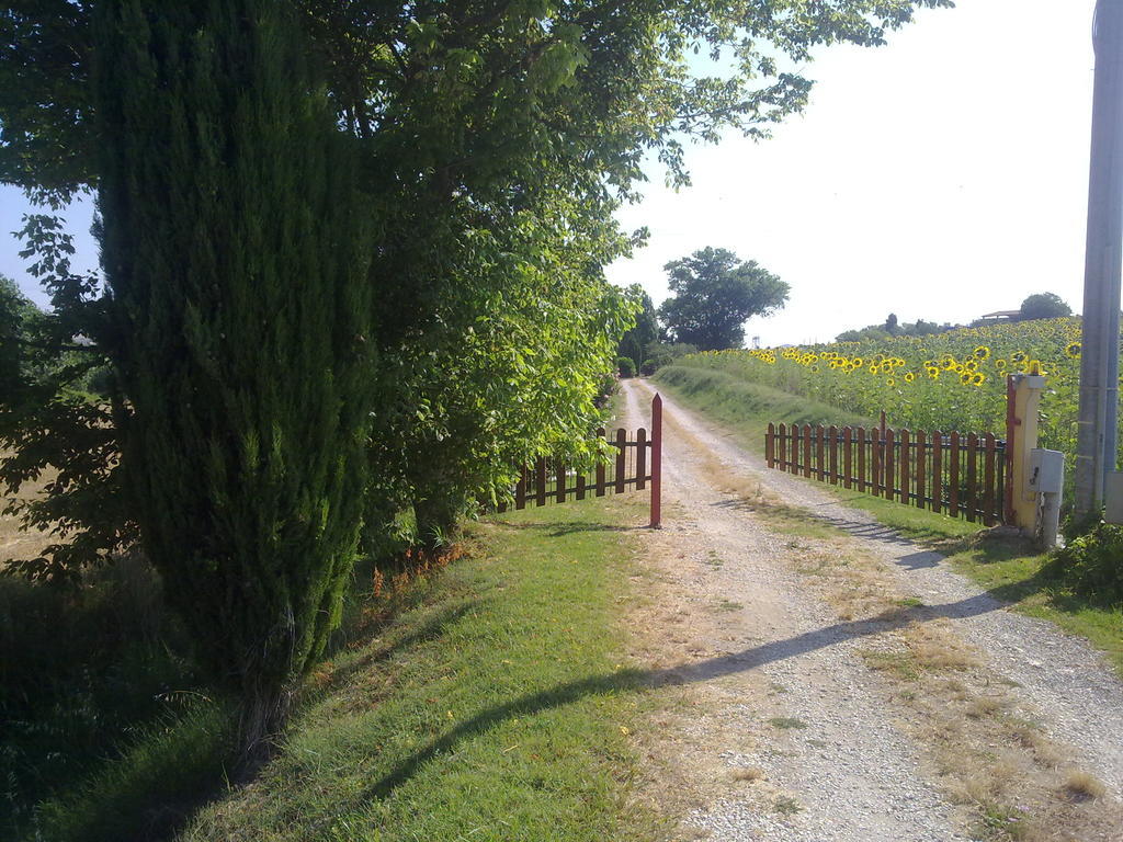 Casale Dinelli Villa Tarquinia Exterior photo