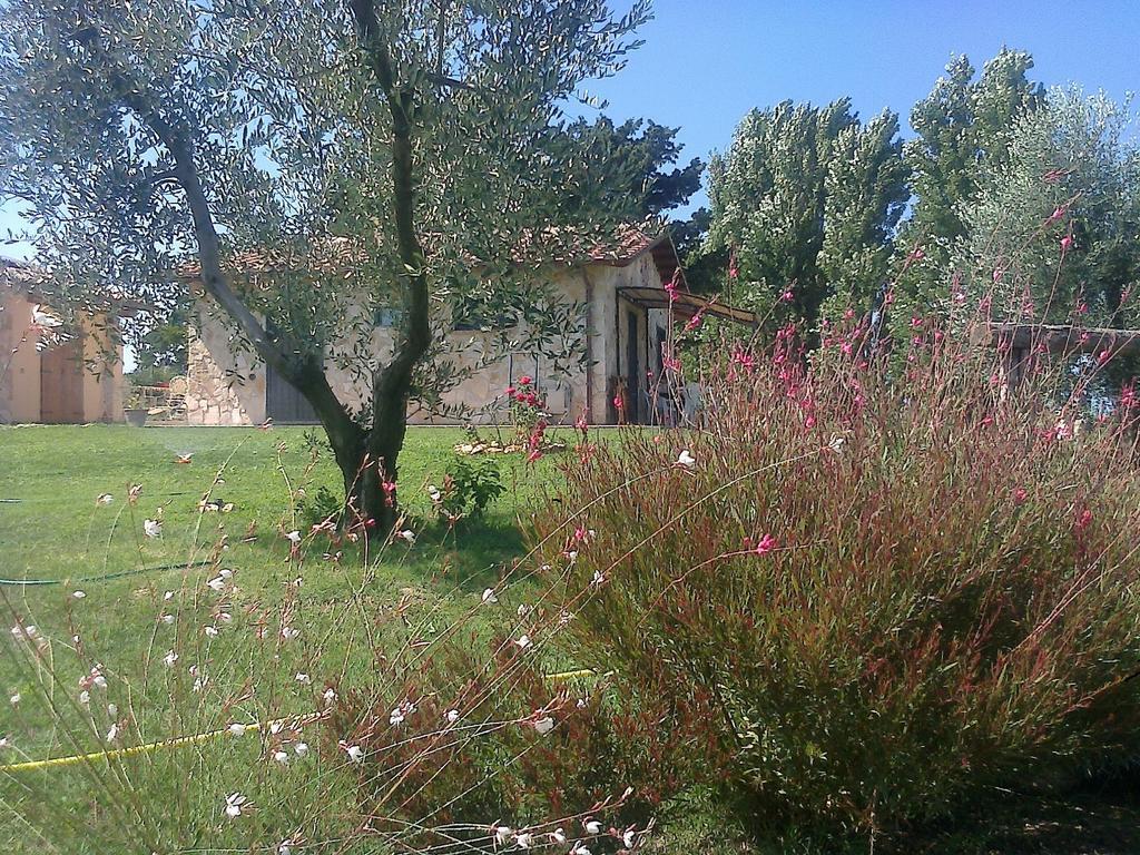 Casale Dinelli Villa Tarquinia Room photo